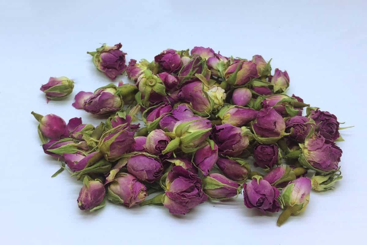 غنچه گل محمدی با طعمی دلنشین 3